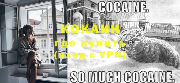 PSILOCYBIN Семёнов