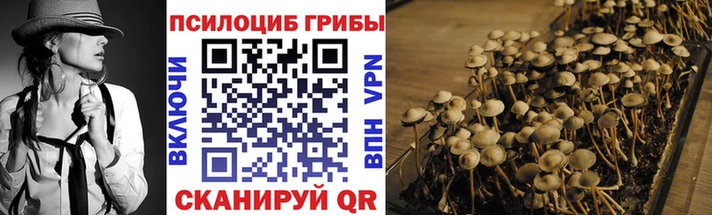 Псилоцибиновые грибы мицелий  Ишимбай 