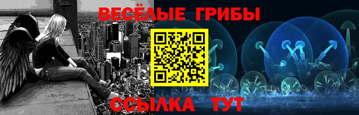 Галлюциногенные грибы GOLDEN TEACHER  Псилоцибиновые грибы прущие грибы  Ишимбай  Вход с VPN 